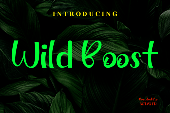 Wild Boost: A Playful Display Font for Editorial Personality